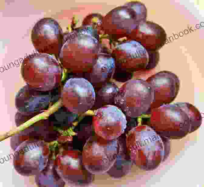 A Bunch Of Grapes The Amazing And Five Friuts