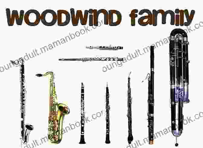A Flat Clarinet, A Member Of The Woodwind Family, Is Characterized By Its Curved Shape And Single Reed Mouthpiece. It Is Often Used In Classical, Jazz, And Klezmer Music. Accent On Ensembles: B Flat Clarinet Or B Flat Bass Clarinet 2 (Accent On Achievement)
