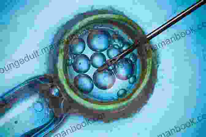 Assisted Reproduction Your Future Family: The Essential Guide To Assisted Reproduction (What You Need To Know About Surrogacy Egg Donation And Sperm Donation)