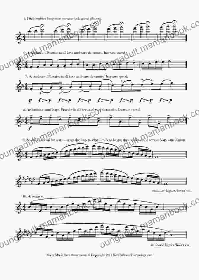 Exercises For Flute II Michael Munz Book Image Exercises For Flute II Michael G Munz