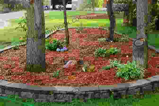 Mulch Layer Adorning Garden Bed, Conserving Soil Moisture The Ever Curious Gardener: Using A Little Natural Science For A Much Better Garden