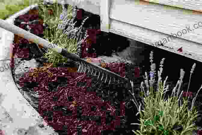 Mulched Garden Bed Showcasing Weed Suppression And Soil Health The Ever Curious Gardener: Using A Little Natural Science For A Much Better Garden