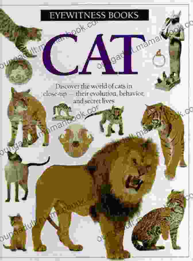 The Cat's Eye Witness Book Cover According To Sherlock: A Bree Watson Short Story (Undercover Cat Mysteries)