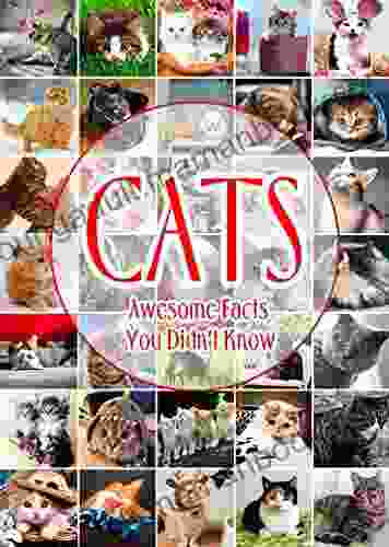 Cats: Awesome Facts You Didn T Know