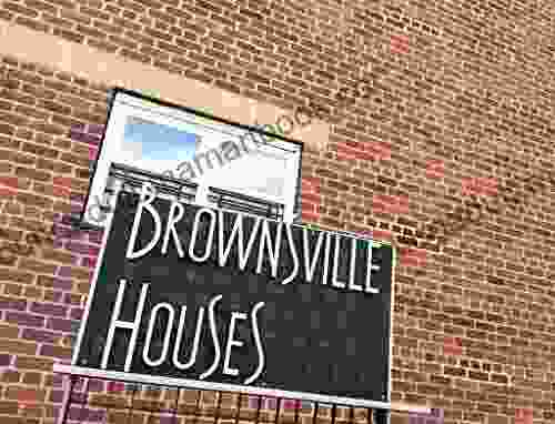 Brownsville Summer Poem (Project Poetry Book)